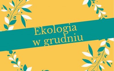 Działania ekologiczne w grudniu